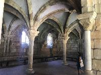 IMG_7002.JPG