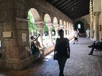 IMG_7083.JPG