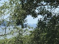 IMG_7124.JPG