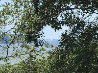 IMG_7125.JPG