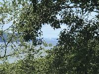 IMG_7126.JPG