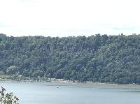 IMG_7136.JPG