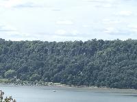 IMG_7138.JPG