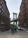 IMG_5305.JPG