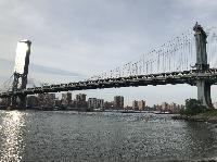 IMG_5310.JPG