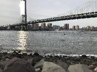 IMG_5312.JPG