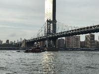 IMG_5325.JPG