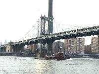IMG_5329.JPG