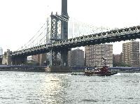 IMG_5335.JPG