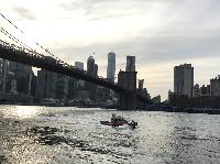 IMG_5347.JPG