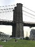 IMG_5389.JPG