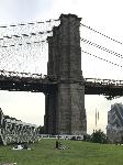 IMG_5390.JPG