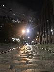 IMG_5550.JPG