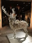 IMG_5984.JPG