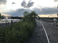 IMG_6532.JPG