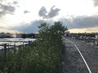 IMG_6535.JPG