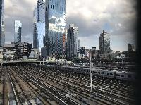 IMG_6556.JPG