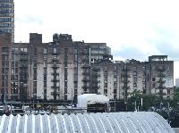 IMG_6591.JPG