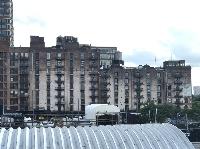 IMG_6592.JPG