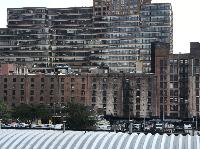 IMG_6593.JPG