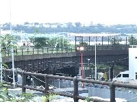 IMG_6603.JPG