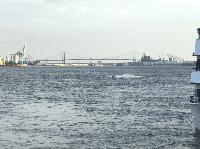 IMG_7700.JPG