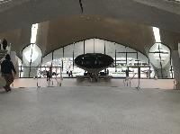 IMG_2206.JPG