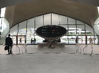 IMG_2231.JPG