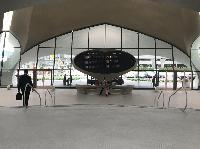 IMG_2233.JPG