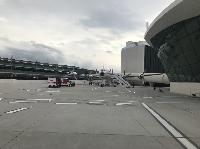 IMG_2524.JPG