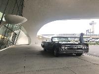 IMG_2779.JPG