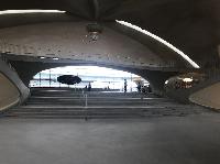 IMG_2882.JPG