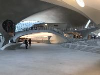 IMG_2917.JPG