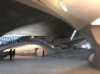 IMG_2931.JPG