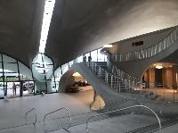 IMG_2976.JPG