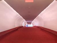IMG_2982.JPG