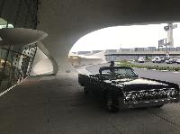 IMG_3018.JPG