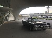 IMG_3022.JPG