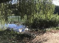 IMG_7033.JPG