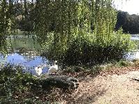 IMG_7035.JPG