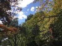 IMG_7037.JPG