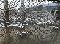 IMG_7134.JPG