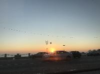 IMG_7142.JPG