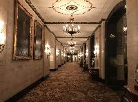 IMG_9127.JPG
