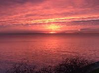 IMG_9275.JPG