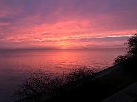 IMG_9284.JPG