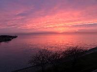 IMG_9294.JPG