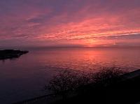 IMG_9296.JPG