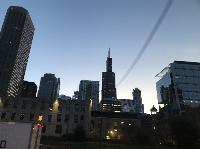 IMG_9500.JPG