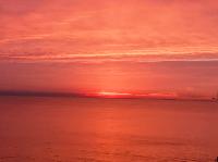 IMG_E7239.JPG